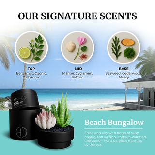 All Scents Candle Bundle