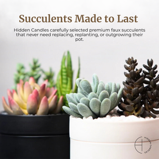 The Discovery Collection