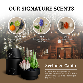 All Scents Candle Bundle