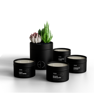 The Discovery Collection