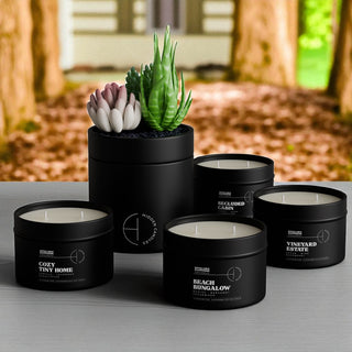 The Discovery Collection