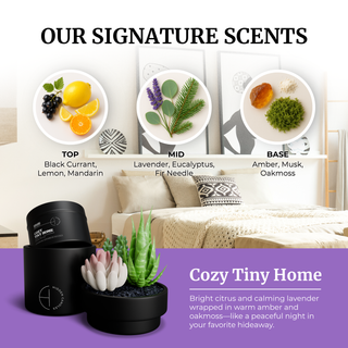 All Scents Candle Bundle