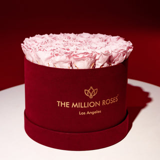Supreme Bordeaux Suede Box | Light Pink Roses - Hidden Candles