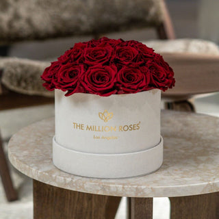Classic Beige Suede Dome Box | Red Roses - Hidden Candles