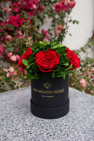 Basic Black Garden Box | Red Roses - Hidden Candles