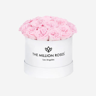 Classic White Dome Box | Light Pink Roses - Hidden Candles