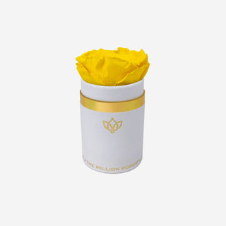 Single White Suede Box | Yellow Rose - Hidden Candles