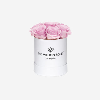 Basic White Box | Light Pink Roses - Hidden Candles