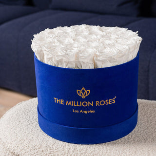 Supreme Royal Blue Suede Box | White Roses - Hidden Candles