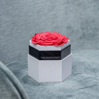 ONE IN A MILLION™ WHITE HEXAGON BOX | CORAL ROSE - Hidden Candles