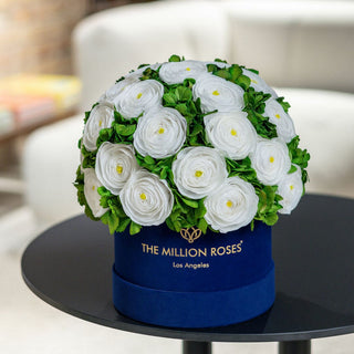 Classic Royal Blue Suede Box | White Persian Buttercups & Green Hydrangeas - Hidden Candles