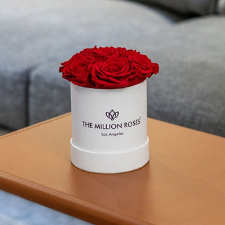 Basic White Box | Red Roses - Hidden Candles
