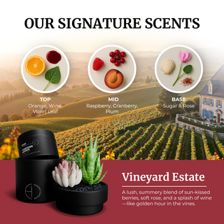 All Scents Candle Bundle