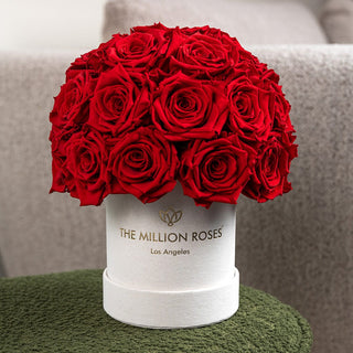 Basic Beige Suede Superdome Box | Red Roses - Hidden Candles