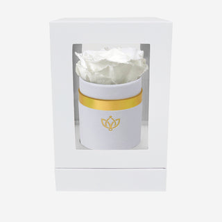 Single White Suede Box | White Rose - Hidden Candles