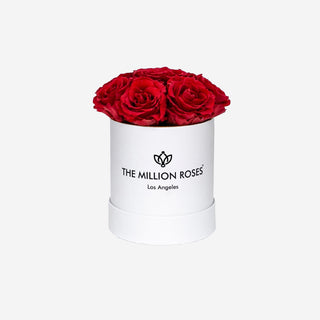 Basic White Box | Red Roses - Hidden Candles