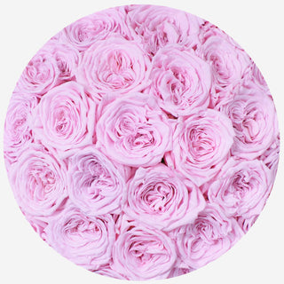 Classic White Dome Box | Light Pink Roses - Hidden Candles