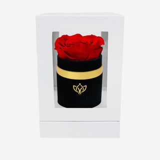 Single Black Suede Box | Red Rose - Hidden Candles