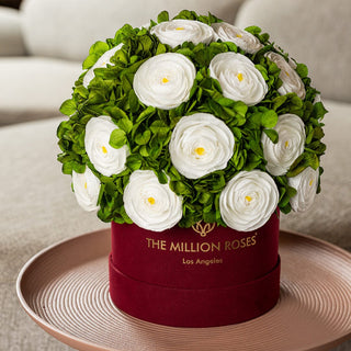 Classic Bordeaux Suede Box | White Persian Buttercups & Green Hydrangeas - Hidden Candles