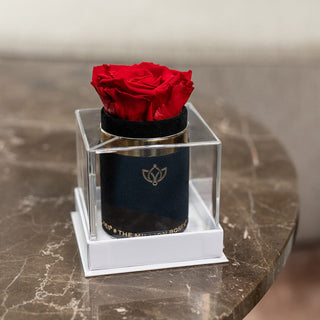 Single Black Suede Box | Red Rose - Hidden Candles