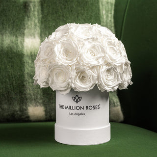 Basic White Superdome Box | White Roses - Hidden Candles
