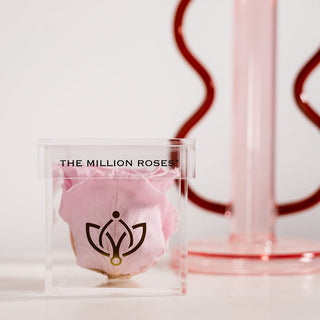 Acrylic Single Box | Light Pink Rose - Hidden Candles
