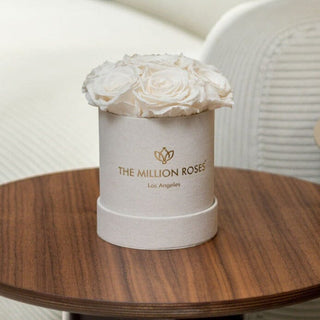 Basic Beige Suede Box | White Roses - Hidden Candles