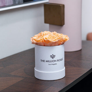 Basic White Box | Peach Roses - Hidden Candles
