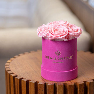 Basic Hot Pink Suede Box | Light Pink Roses - Hidden Candles