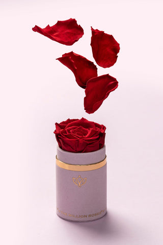 Single Light Pink Suede Box | Red Rose - Hidden Candles