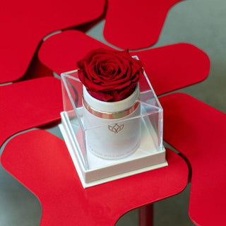 Single White Suede Box | Red Rose - Hidden Candles