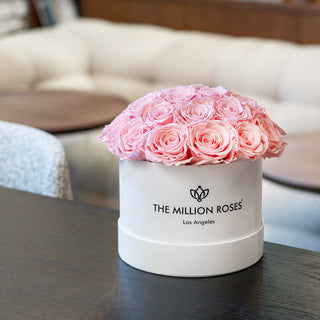 Classic White Dome Box | Light Pink Roses - Hidden Candles