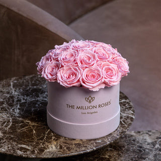 Classic Light Pink Suede Dome Box | Light Pink Roses - Hidden Candles