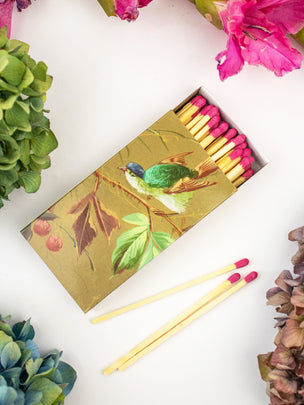 Hummingbird Wallpaper