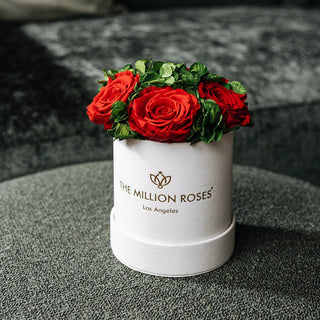 Basic Beige Suede Garden Box | Red Roses - Hidden Candles