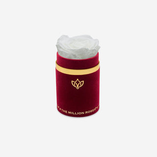 Single Bordeaux Suede Box | White Rose - Hidden Candles