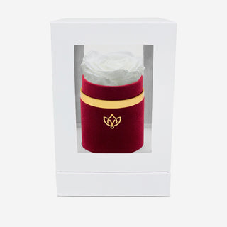 Single Bordeaux Suede Box | White Rose - Hidden Candles