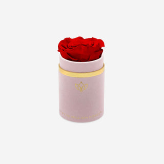Single Light Pink Suede Box | Red Rose - Hidden Candles