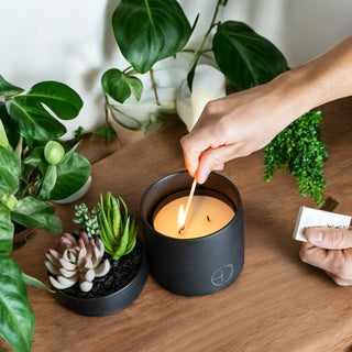 The Hidden Candle
