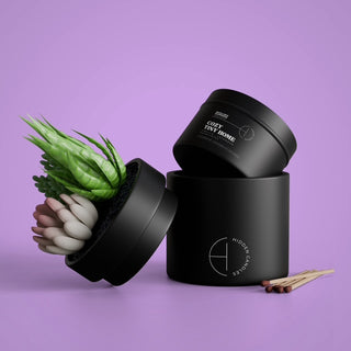 The Hidden Candle