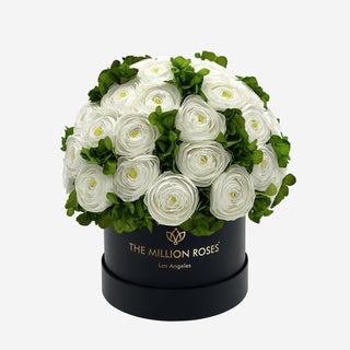 Classic Black Box | White Persian Buttercups & Green Hydrangeas - Hidden Candles