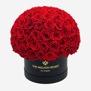 Supreme Black Superdome Box | Red Roses - Hidden Candles