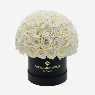 Classic Black Superdome Box | White Roses - Hidden Candles