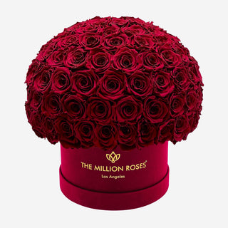 Supreme Bordeaux Suede Superdome Box | Burgundy Roses - Hidden Candles