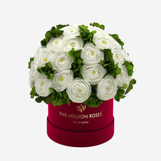 Classic Bordeaux Suede Box | White Persian Buttercups & Green Hydrangeas - Hidden Candles