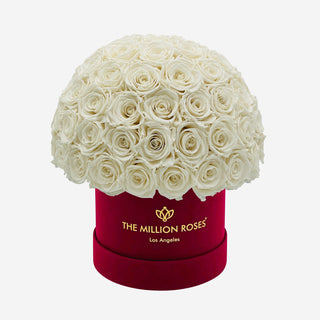 Classic Bordeaux Suede Superdome Box | White Roses - Hidden Candles