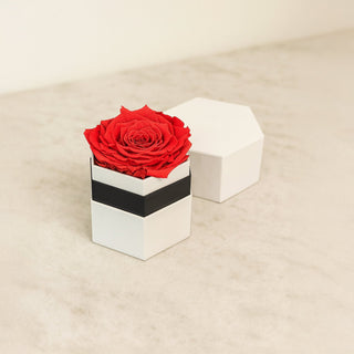 ONE IN A MILLION™ WHITE HEXAGON BOX | CORAL ROSE - Hidden Candles