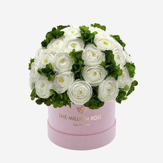 Classic Light Pink Suede Box | White Persian Buttercups & Green Hydrangeas - Hidden Candles