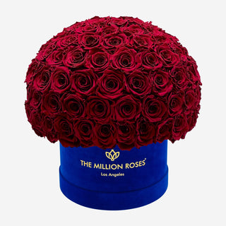 Supreme Royal Blue Suede Superdome Box | Burgundy Roses - Hidden Candles