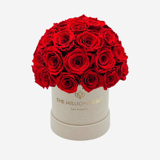 Basic Beige Suede Superdome Box | Red Roses - Hidden Candles